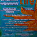 Live a Life of Gratitude