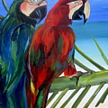 Parrots on the Beach